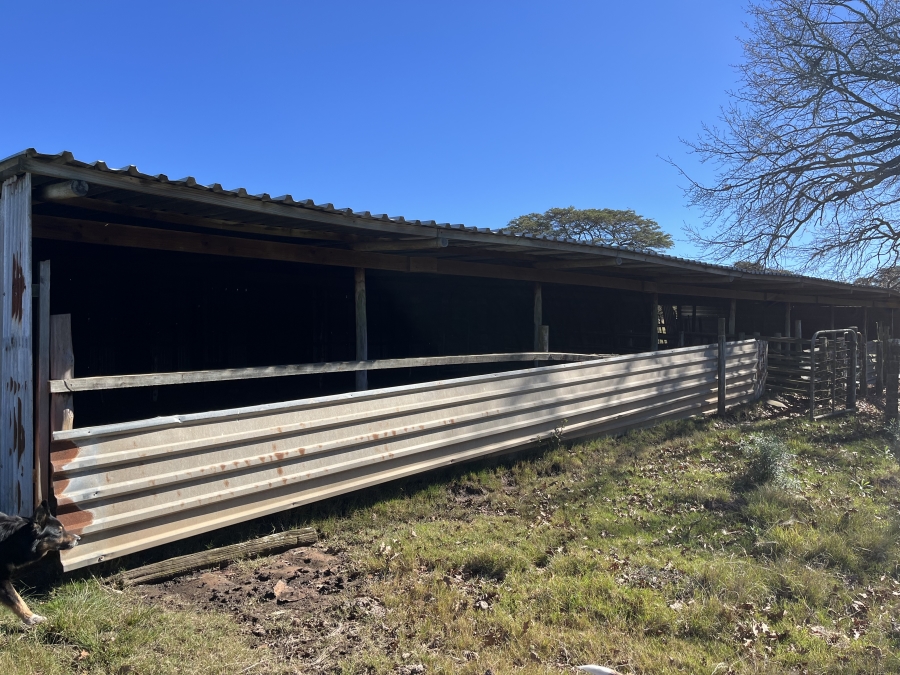 0 Bedroom Property for Sale in Stutterheim Rural Eastern Cape